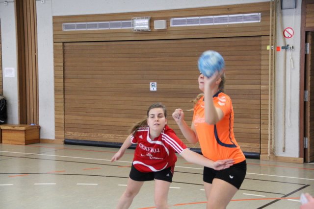 2017_01_08 Landesliga Frauen u. J19